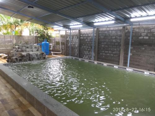 Dolphin House — фото 1