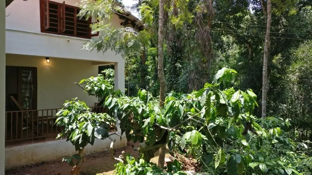 Кушалнагар: Natura Vista A Plantation Stay