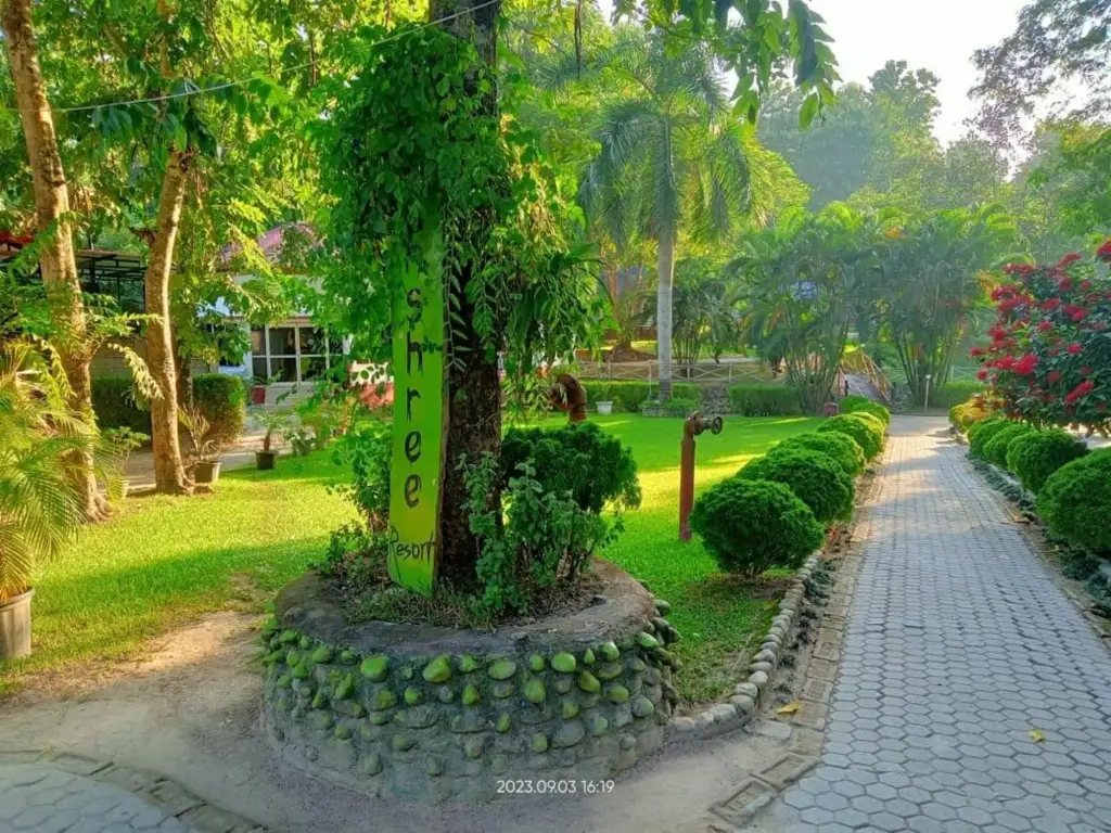 Кохора: Dhanshree Resort