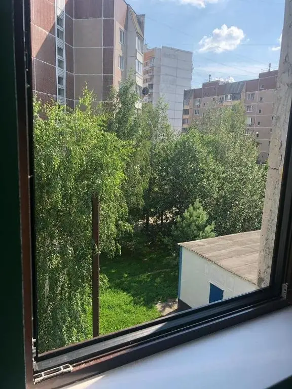 Москва: Хостел Вежливый Лось на Бунинской аллее