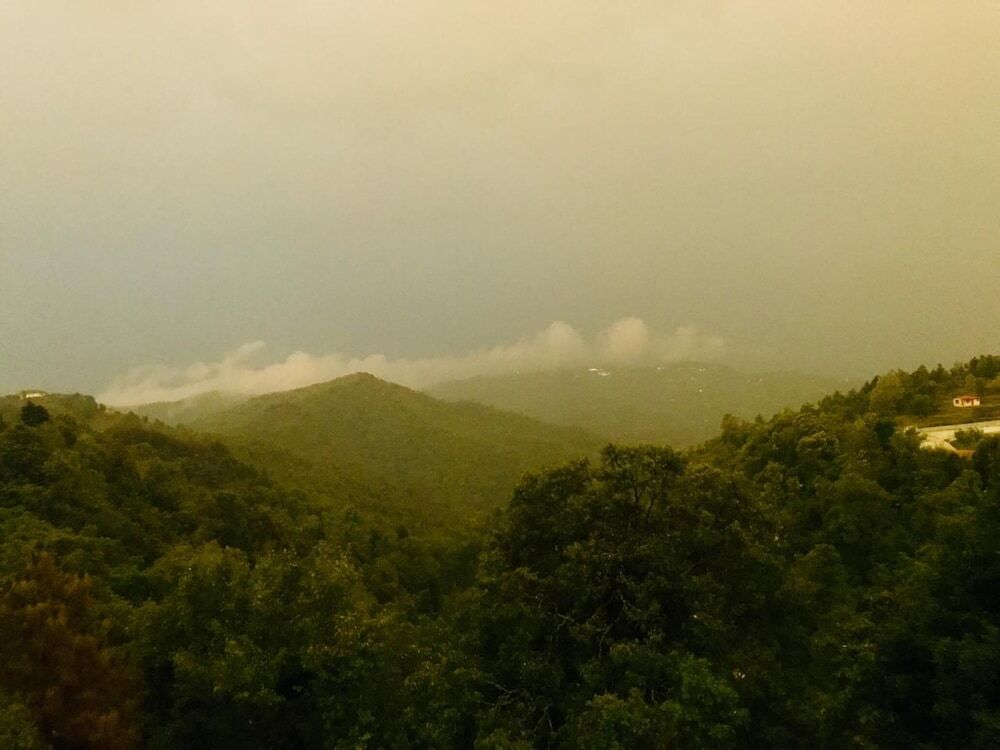 Наинитал: The Wonder Valley Resort