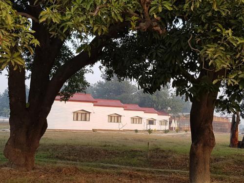 Living Green Farms — фото 1