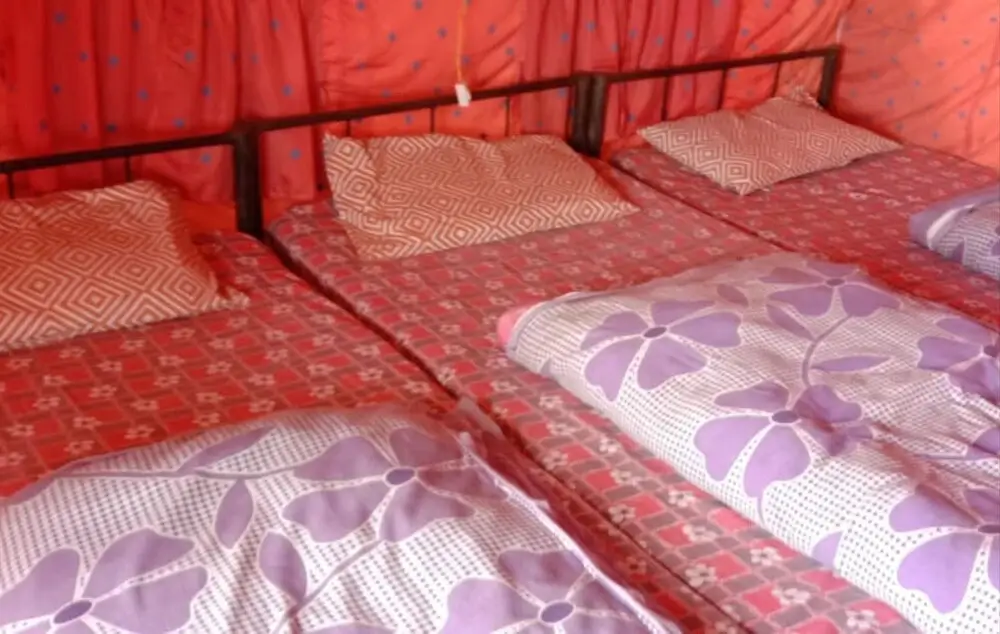Техри: Camp Awara Dhanaulti