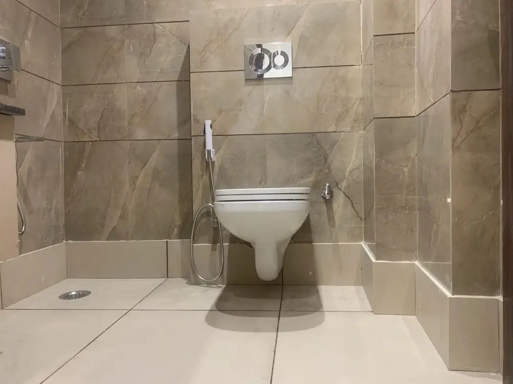 Большая Нойда: Hotel Noida International