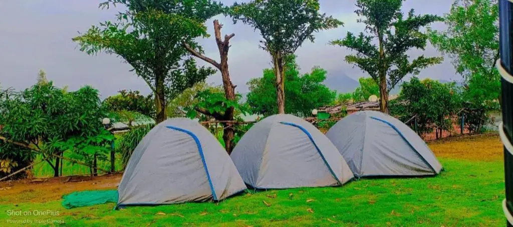Хандала: Pawna Lake Camping for Family, Couple and Groups