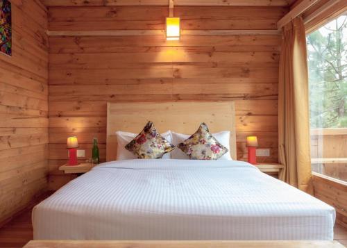 Куфри: Suro Treehouse Resort