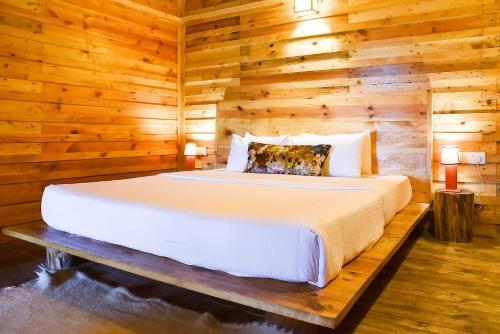 Куфри: Suro Treehouse Resort