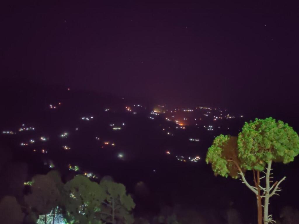 Peaks And Pines Resort — фото 1