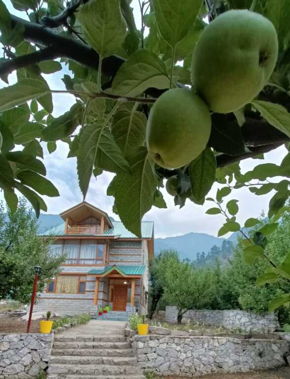 Cottage Palzey Manali — фото 1