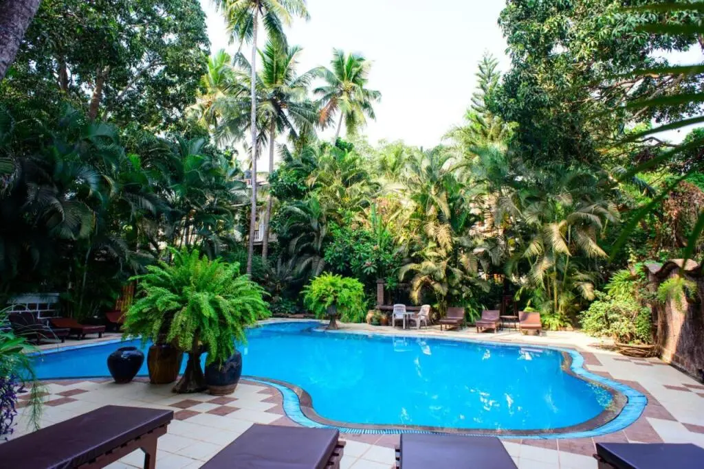 Бага: Bellflower Alidia Beach Resort