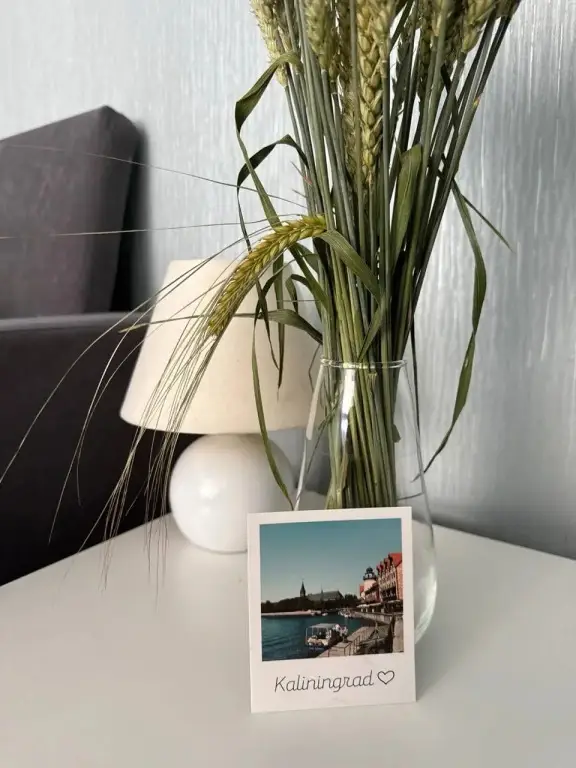 Калининград: Uyutnyij Obekt V Tsentre Goroda Flat