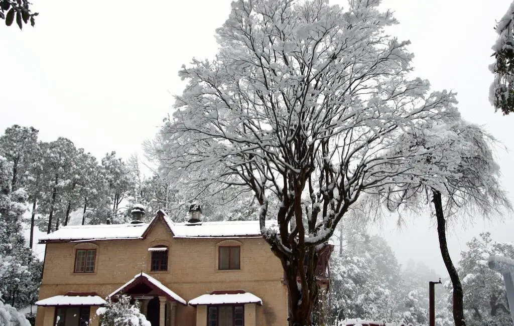 Kmvn Tourist Rest House Ranikhet Mall Road — фото 1