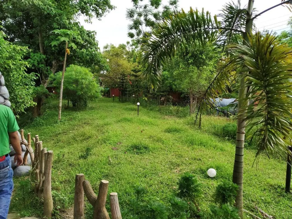 Бишнатх: Green Ashiyana Island Resort