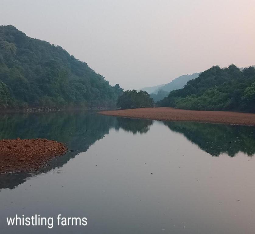 Пляж Ганпатипуле: Whistling Farms Home Stay