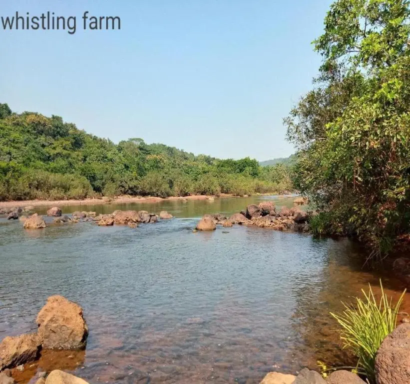 Пляж Ганпатипуле: Whistling Farms Home Stay