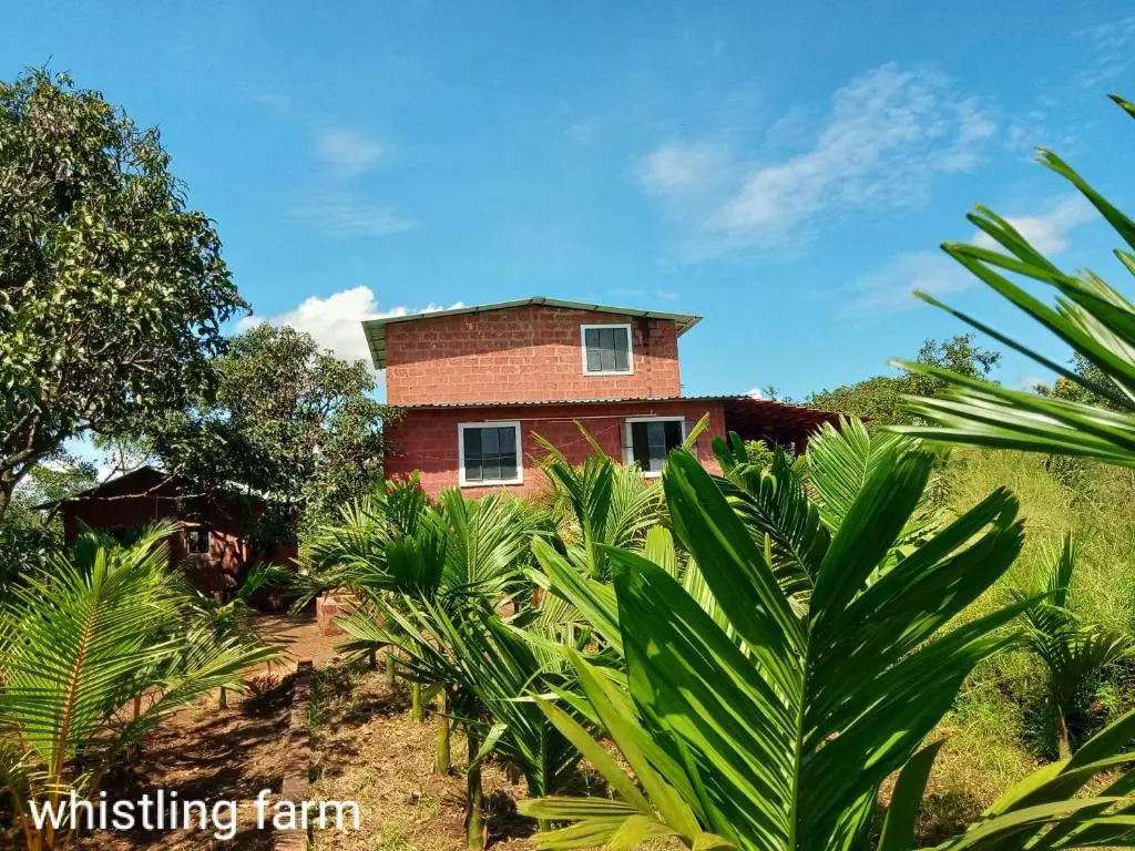 Пляж Ганпатипуле: Whistling Farms Home Stay