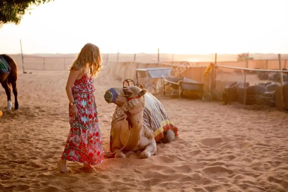 Каной: Desert Dream Royal Camp