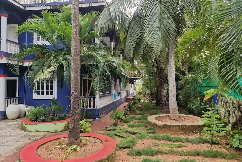 Кандолим: Lazy Palms Beach Apartment