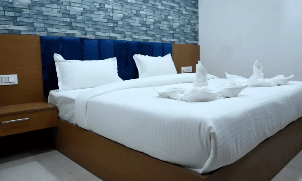 Данапур: Hotel Ganga Amrit