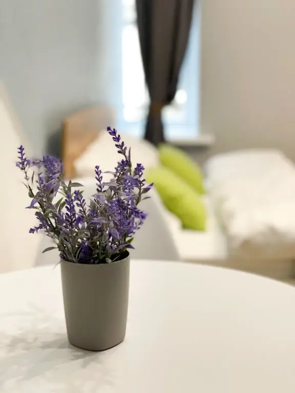 Санкт-Петербург: Апартаменты Rent4you на Грибоедова