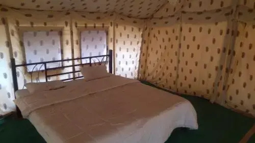 Джайсалмер: Aryan Desert Camp