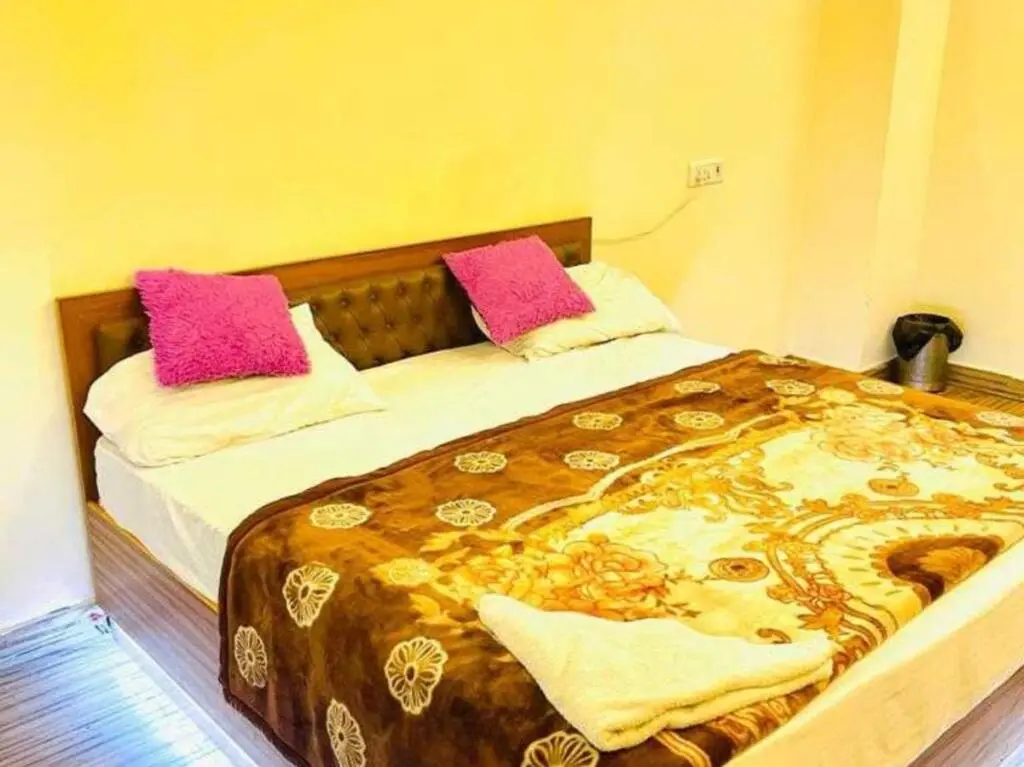 Нью-Дели: OYO 69330 Gk Guest House