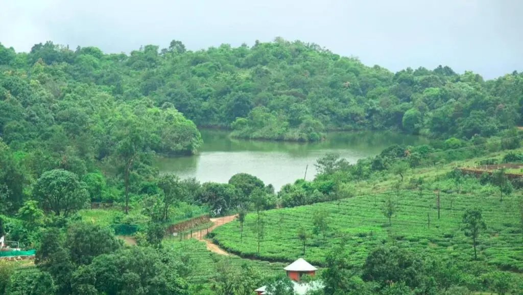 Куттикканам: Mercy Mol Homestay vagamon