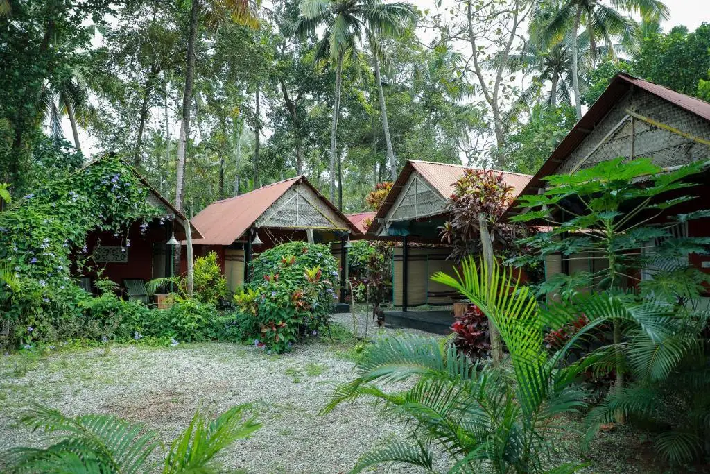 Варкала: The cliff cottage varkala