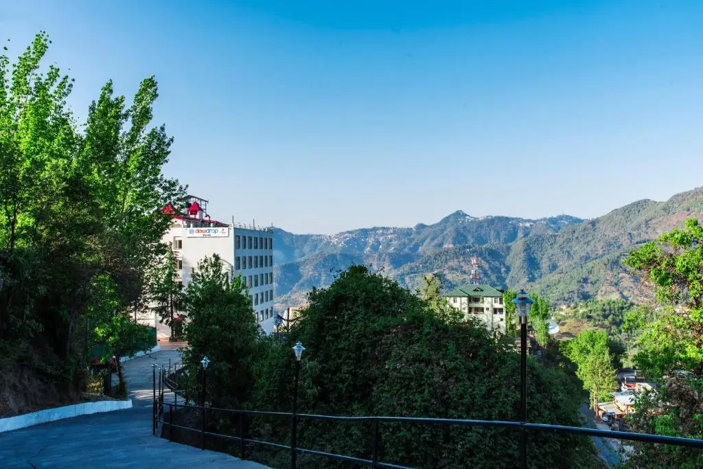 Шоги: Treehouse M A R S Valley View