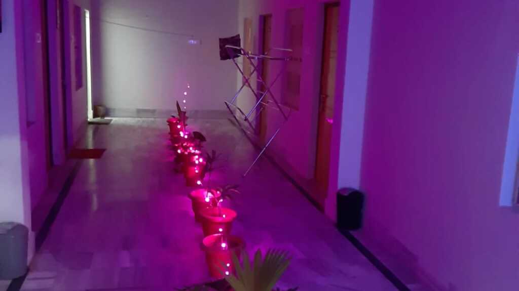 Варанаси: Kashi Stay Guest House