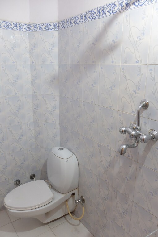 Удаипур: Little Peepal House