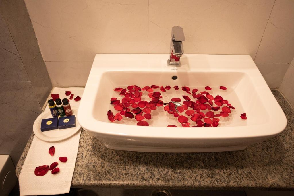 Удаипур: Hotel Bhairav Bagh with Swimming Pool