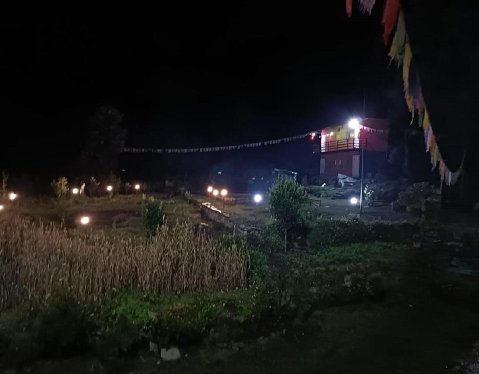 Chopta Eco Cottage & Camping — фото 1