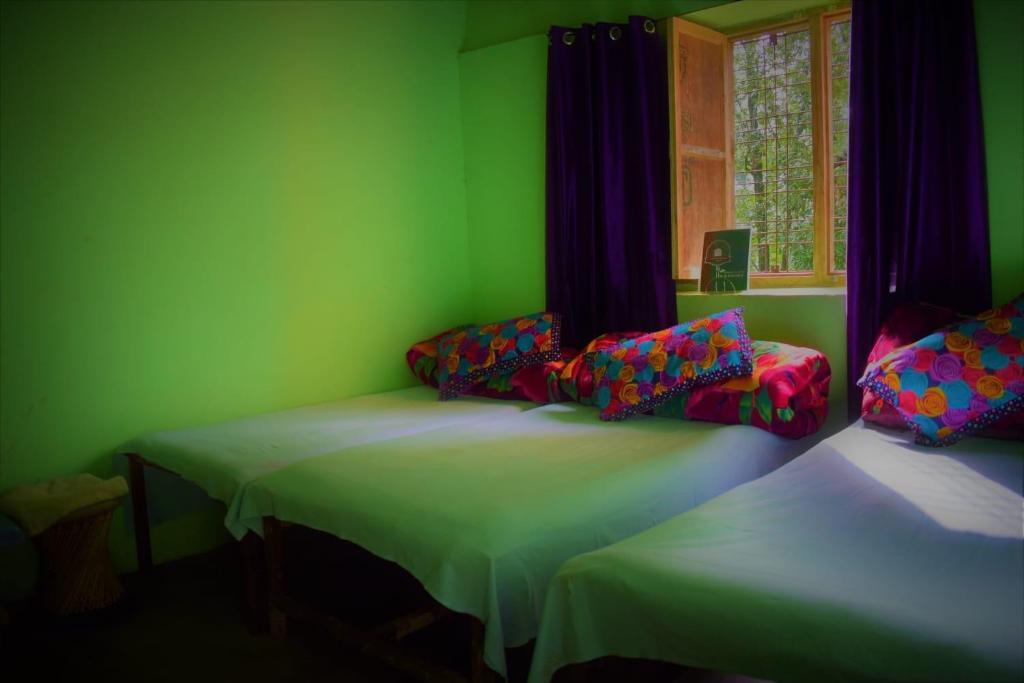 Чамоли: Chopta Eco Cottage & Camping