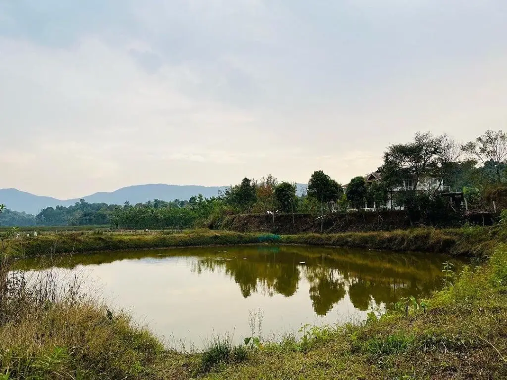Гоникоппал: Backpacker's Nature Lodge in Theralu