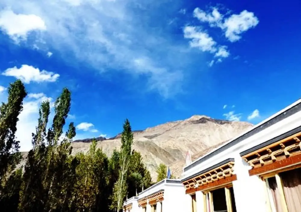 TIH Lharje Resort - Nubra — фото 1