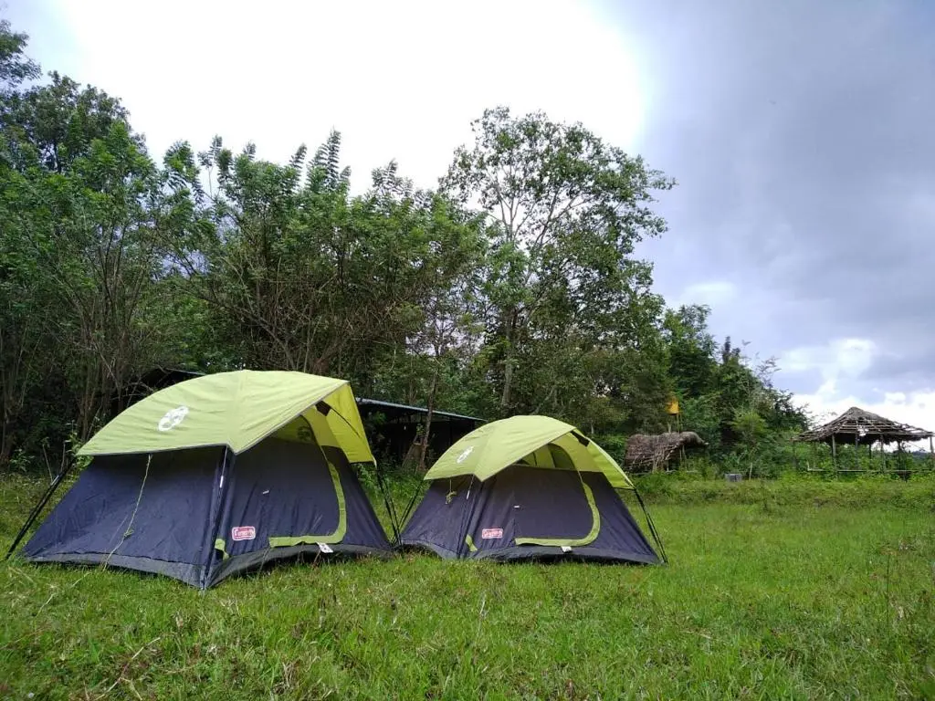 Кушалнагар: Shades Of Green - Camping Near Dubare