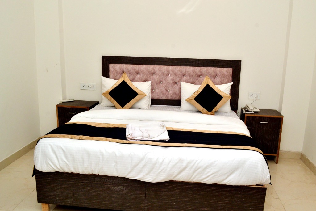 Нью-Дели: Hotel Dolphin International