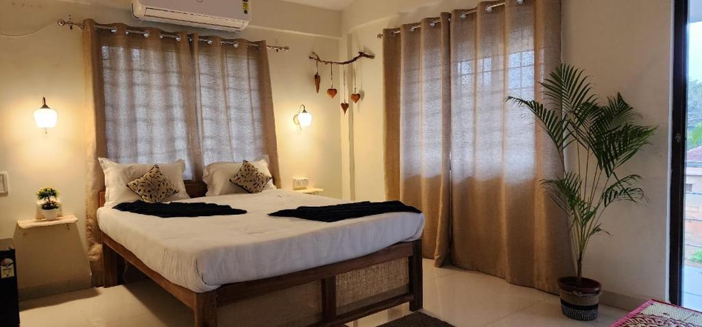 Вагатор: Blue Jay Guest house