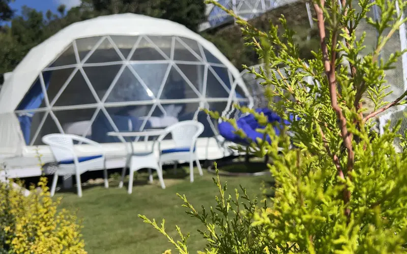 Техри: Eco-Glamp