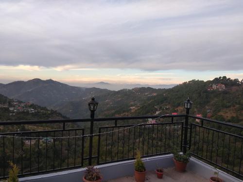 Казаули: Orchid kasauli
