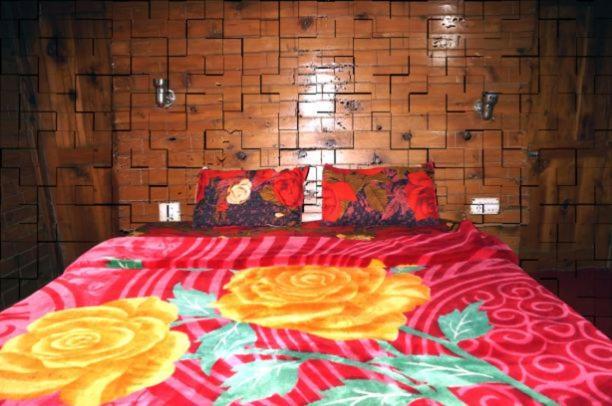 Манали: Sunrise Hostel and Stay