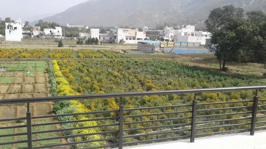 Пушкар: Hotel Natural View