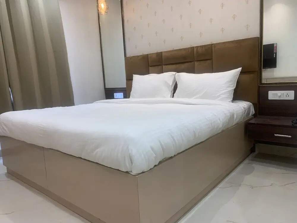 Нью-Дели: Hotel Leo Saffron