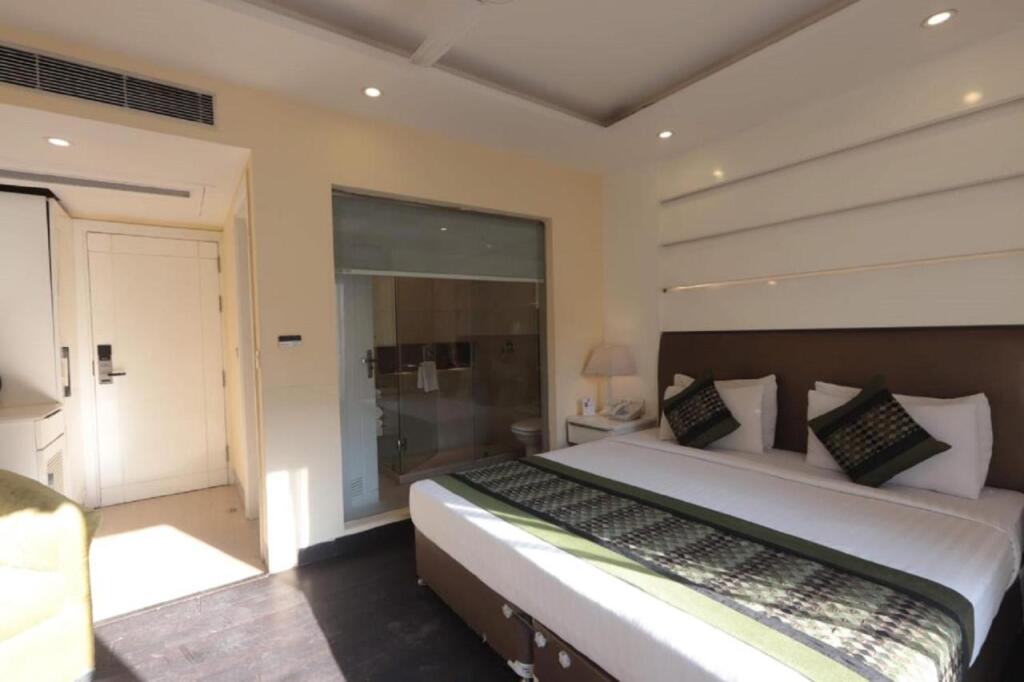 Нью-Дели: Hotel Picasso Naraina