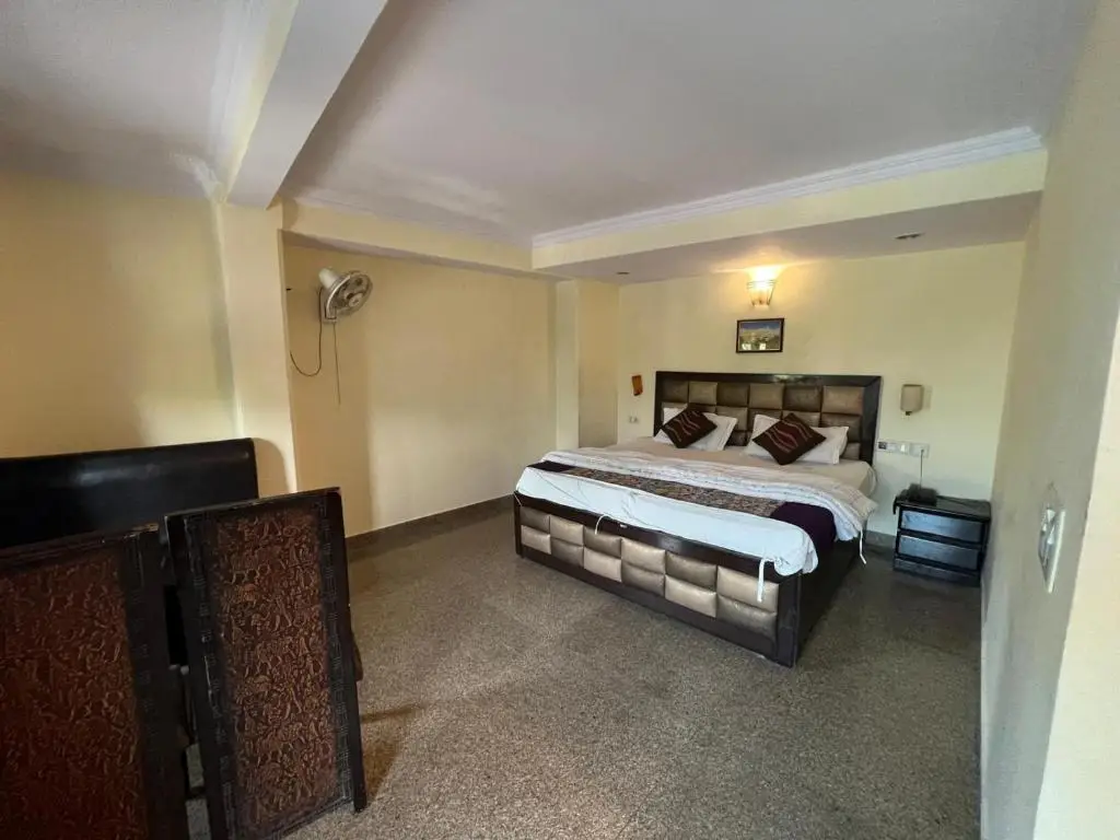 Нью-Дели: Roomshala Hotel Silver Inn