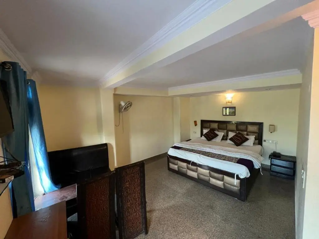 Нью-Дели: Roomshala Hotel Silver Inn