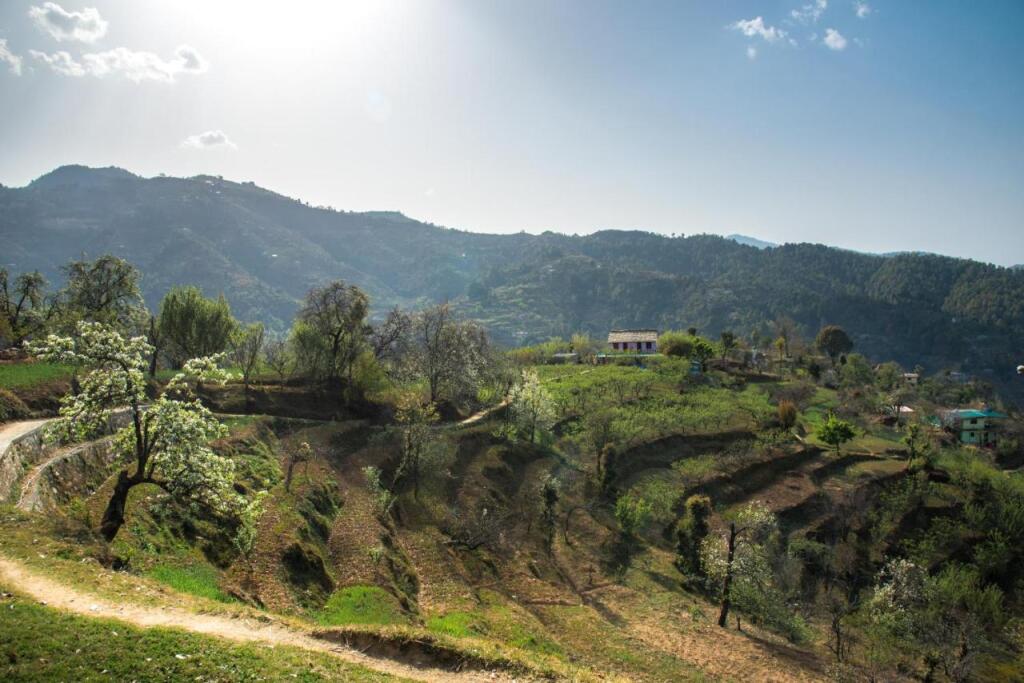 Наинитал: Evaan Resorts The Foliage