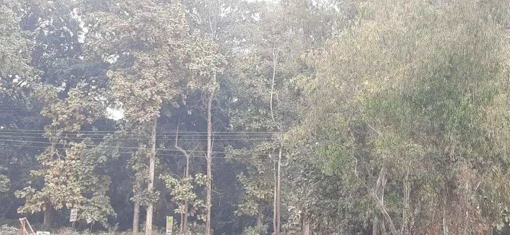 Наинитал: Premier Jim Corbett Home Stay