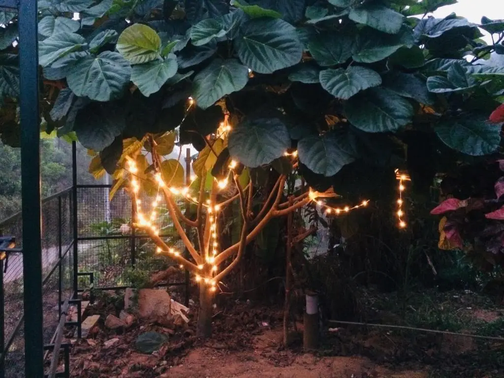 Кушалнагар: Vana Vihar Coorg